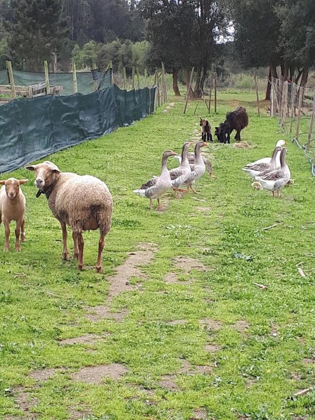 דירות בומברל Granja Mg מראה חיצוני תמונה